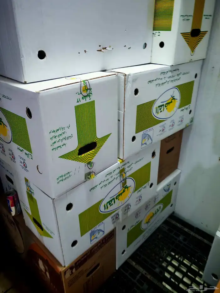 بيض جمله نص كرتون ب 130 فيها 6 اطبقاق شامل التوصيل 3