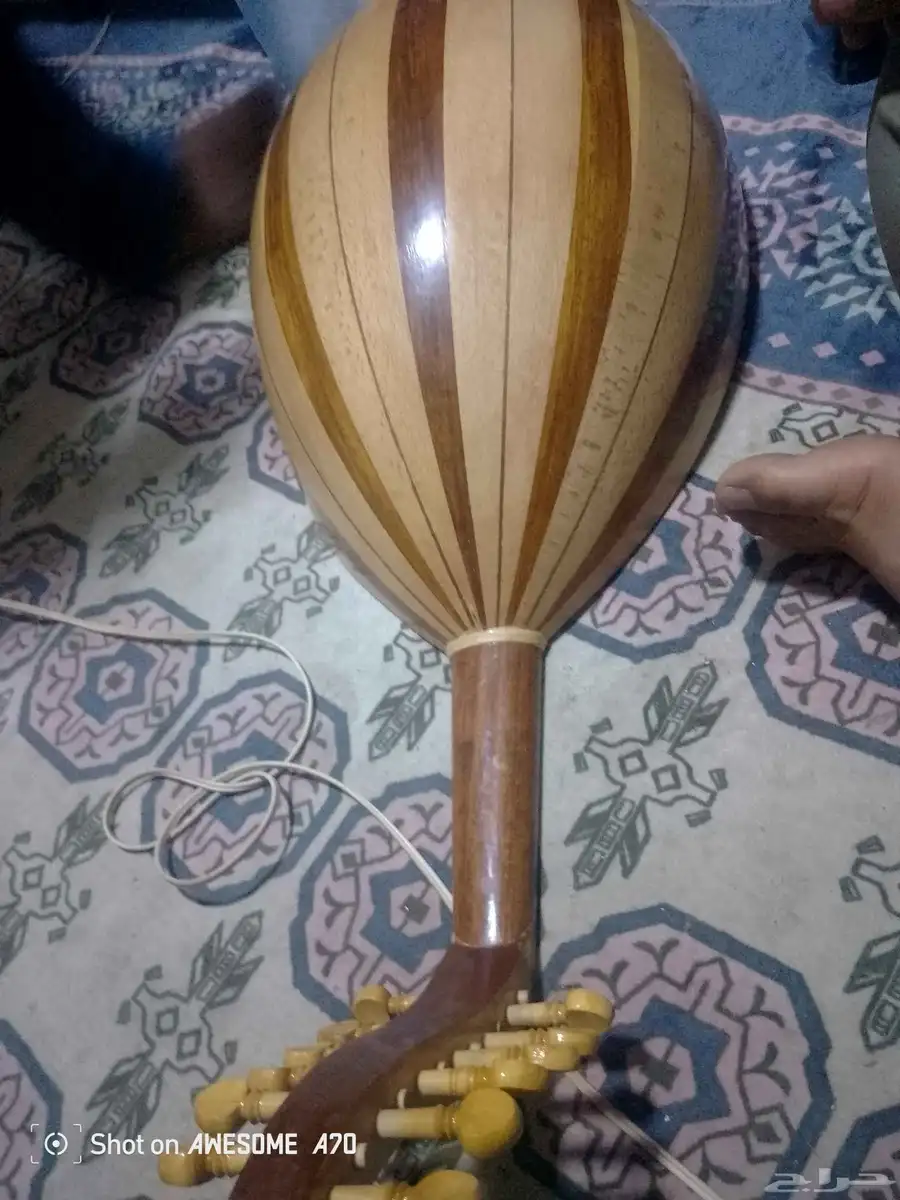 عود مصري 3
