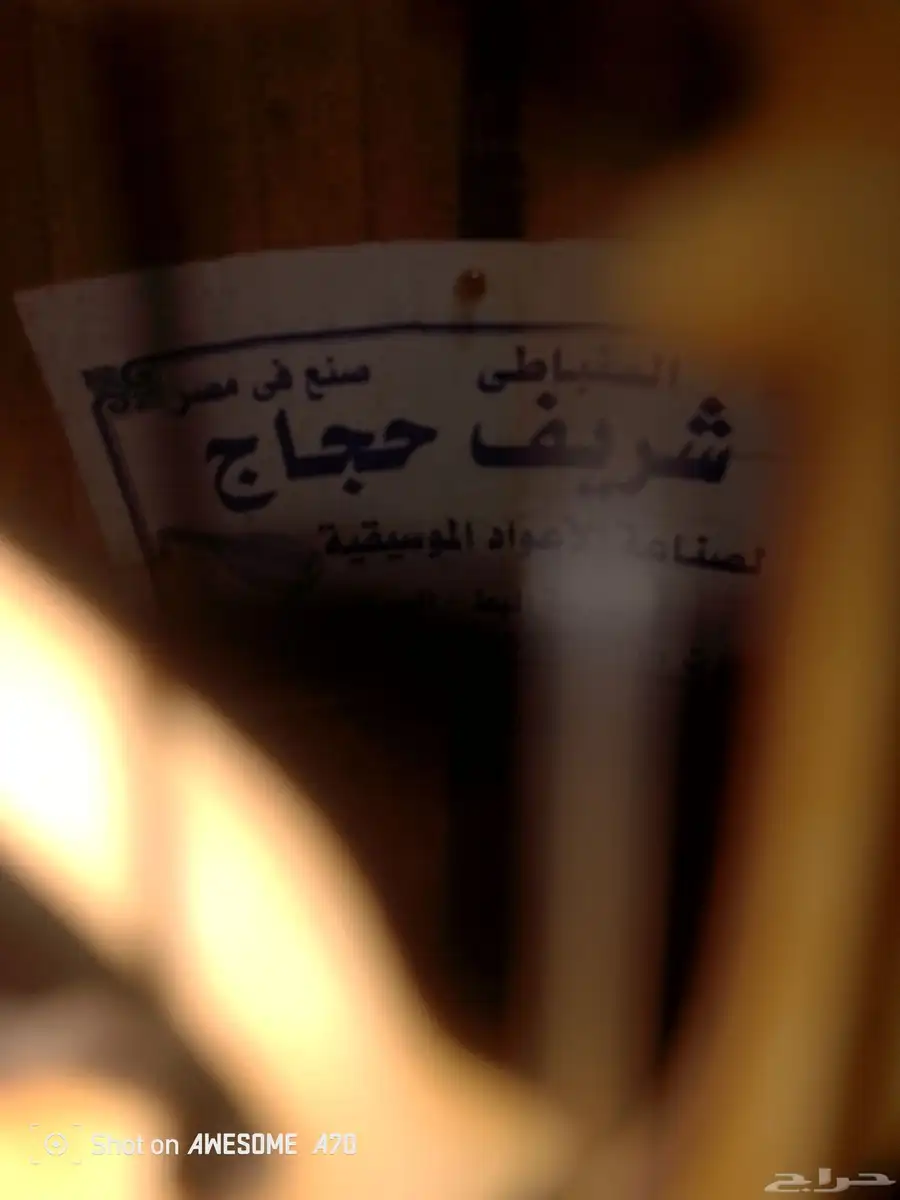 عود مصري 4