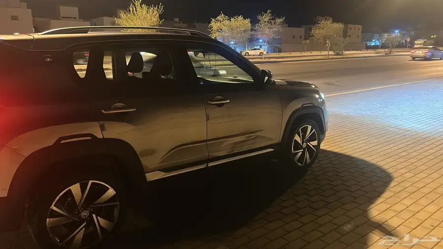 شانجان 3
