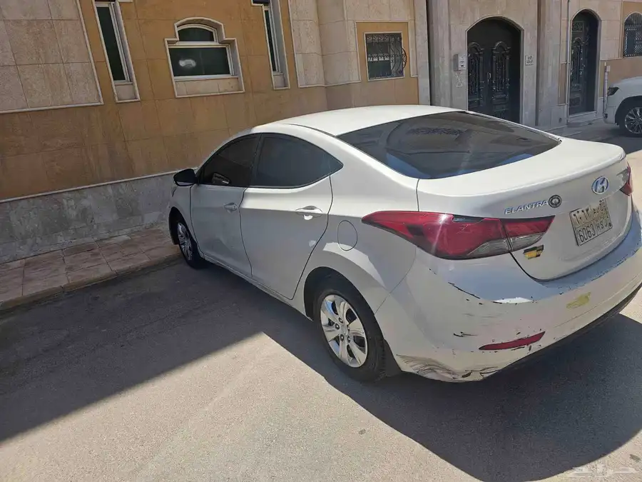 النترا 2014 4