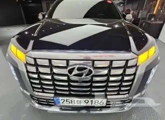 باليسيد كاليجرافي دبل فل كامل 8 مقاعد استيراد من كوريا 2024 17