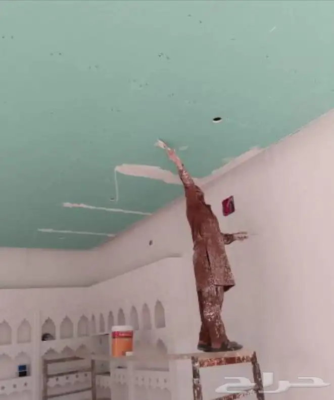 معلم دهان صبغة ديكورات معلم باكستاني 3