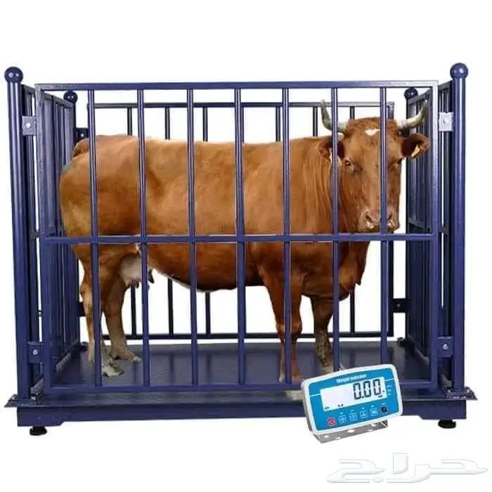 موازين الكترونيه ومعدات المطاعم 14