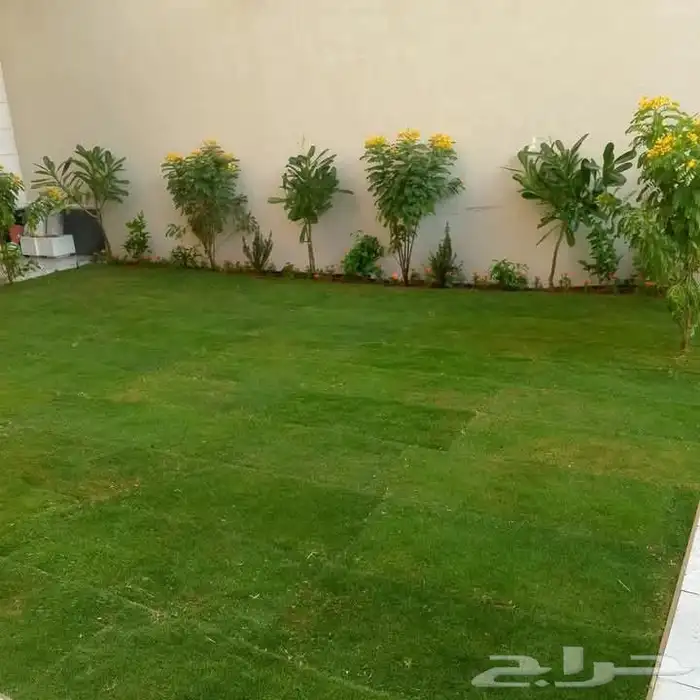 نخل وشنطني زينه للفل واستراحات والبيوت والقصور وا 5