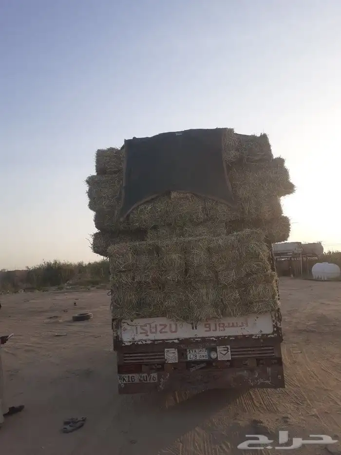 الاعلاف البيع 2