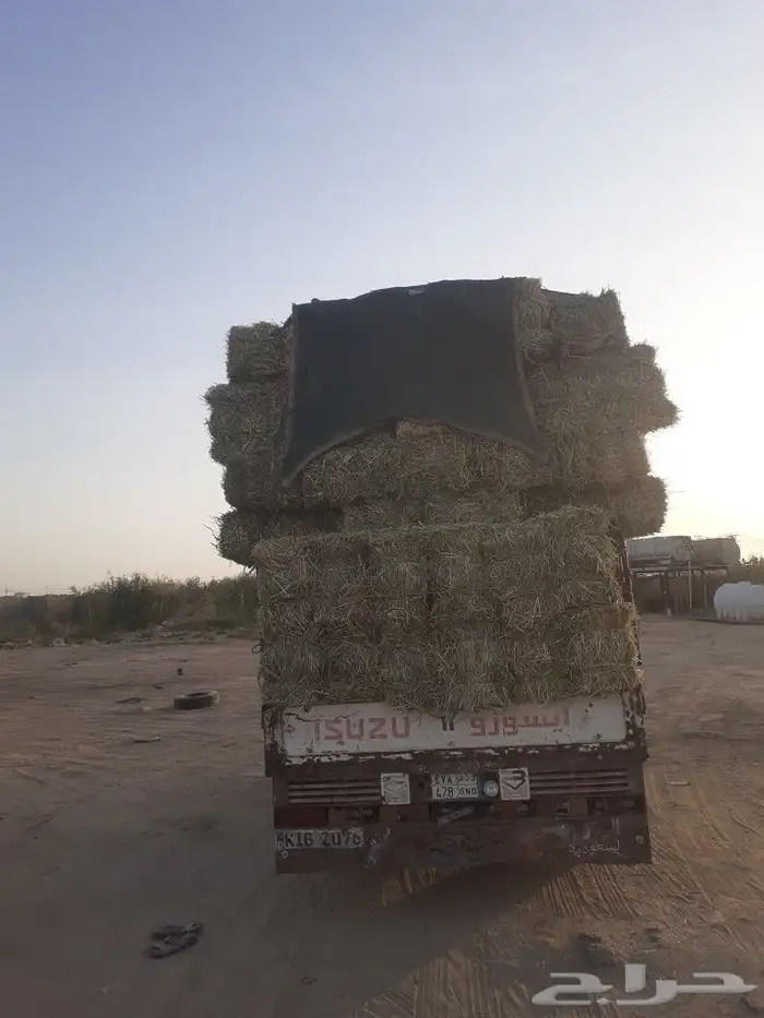 الاعلاف البيع 3