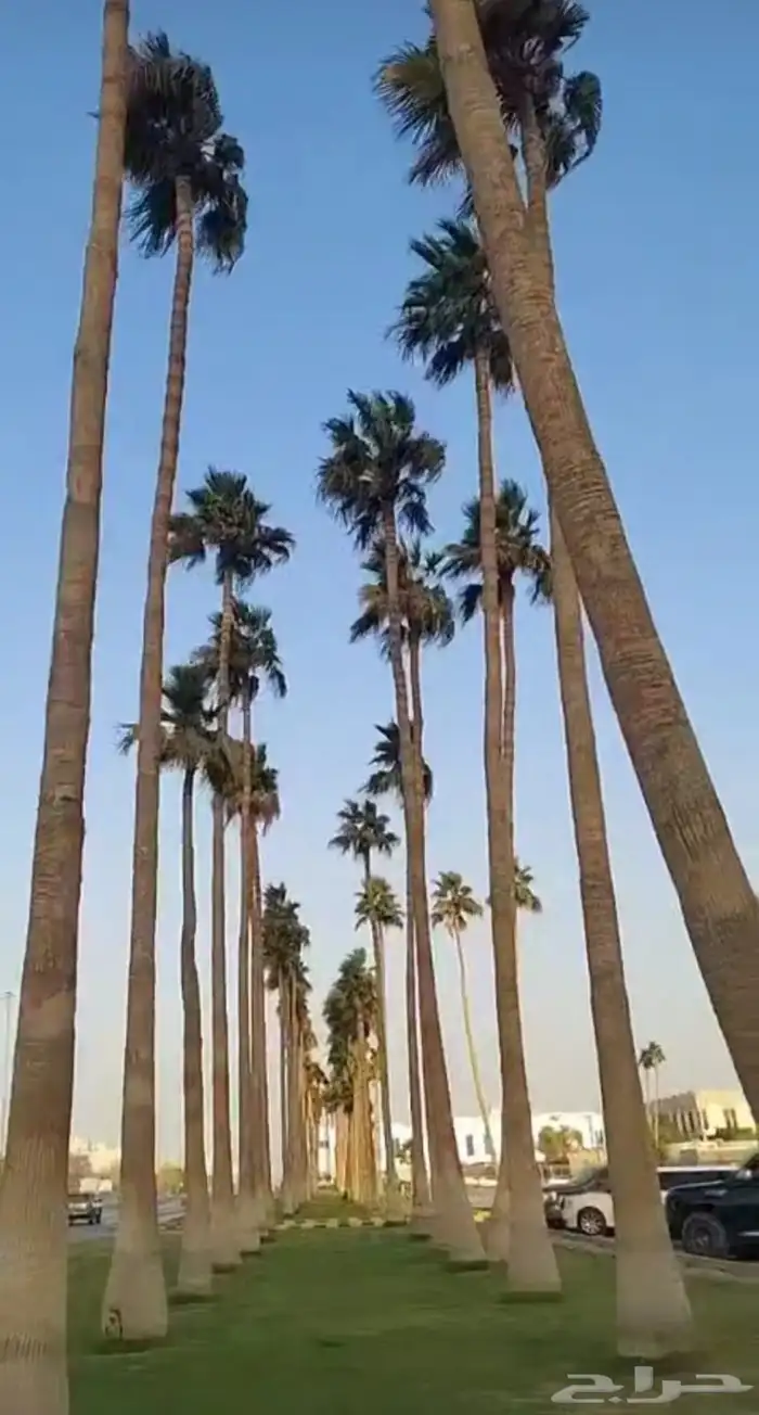 عمال الواشنطني 0