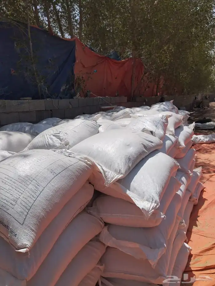 علف فقيه لاحم ناهي 0