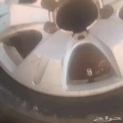 تيوك مدينه تبوك 0