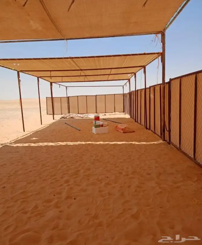 مضلات ابل 0