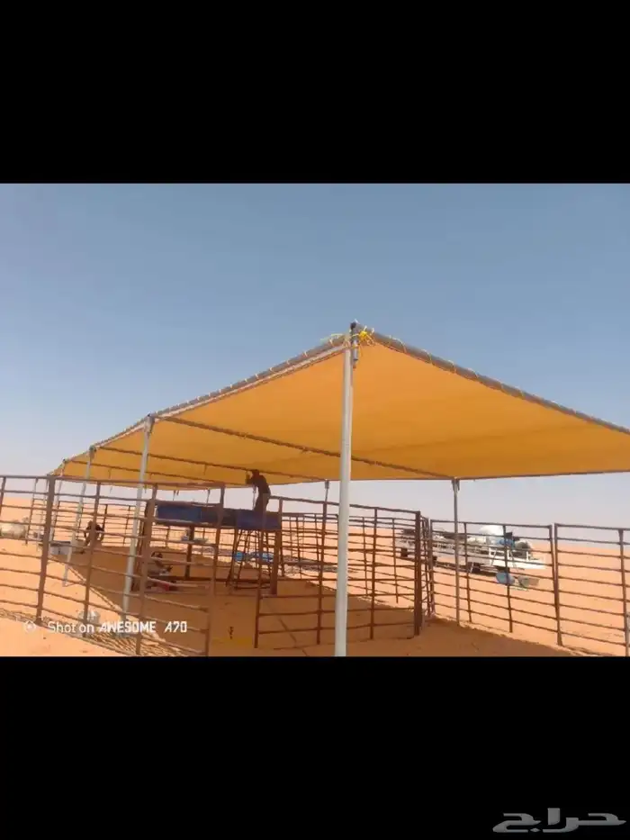 مضلات ابل 1