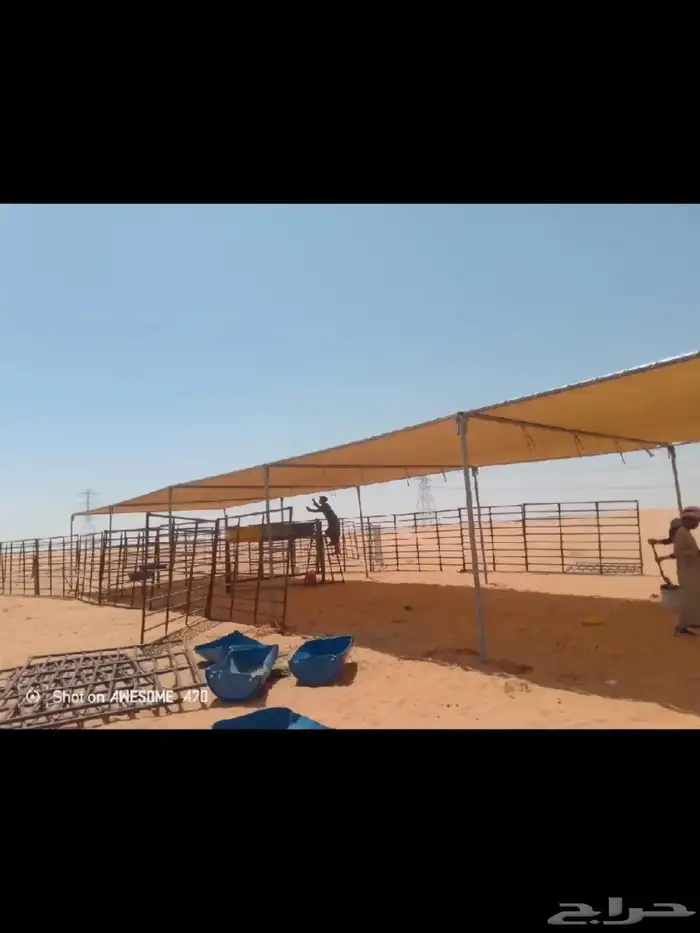 مضلات ابل 4
