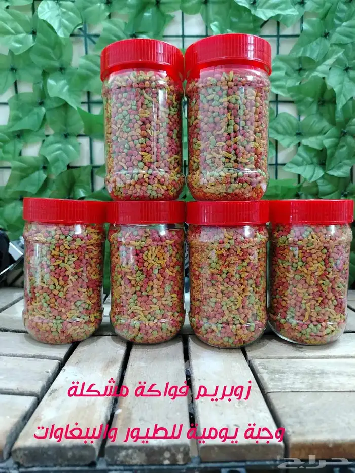 زوبريم وباتيه لجميع أنواع الطيور الصغيرة والمتوسطة والكبيرة 1