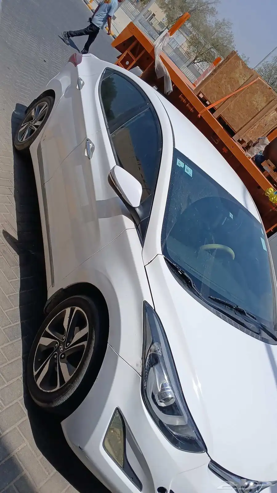 النتراء 2015 0