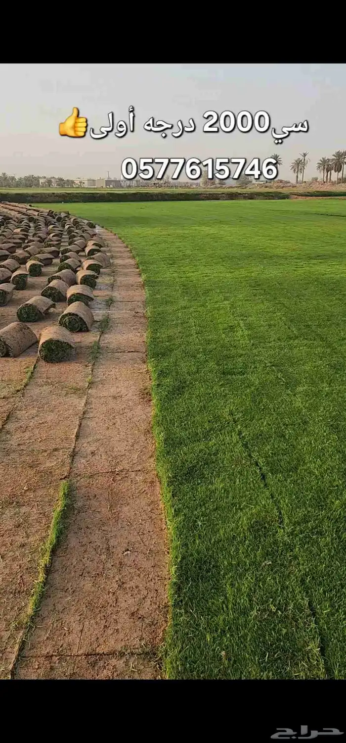 ثيل طبيعي درجة أولى سي2000 صافي ونقي 3