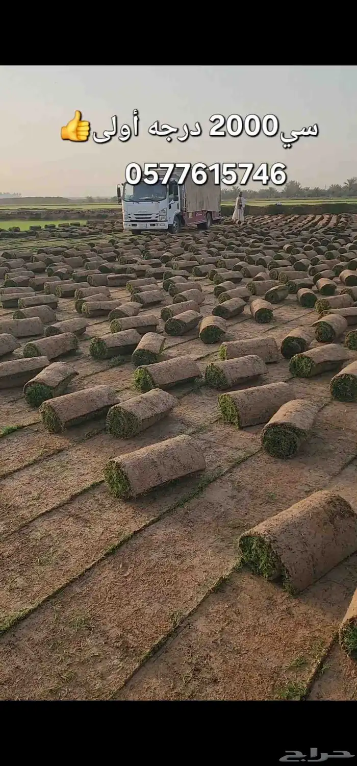 ثيل طبيعي درجة أولى سي2000 صافي ونقي 4