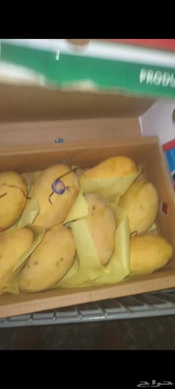 مانجو مستورد من باكستان Mango imported from Pakistan 1