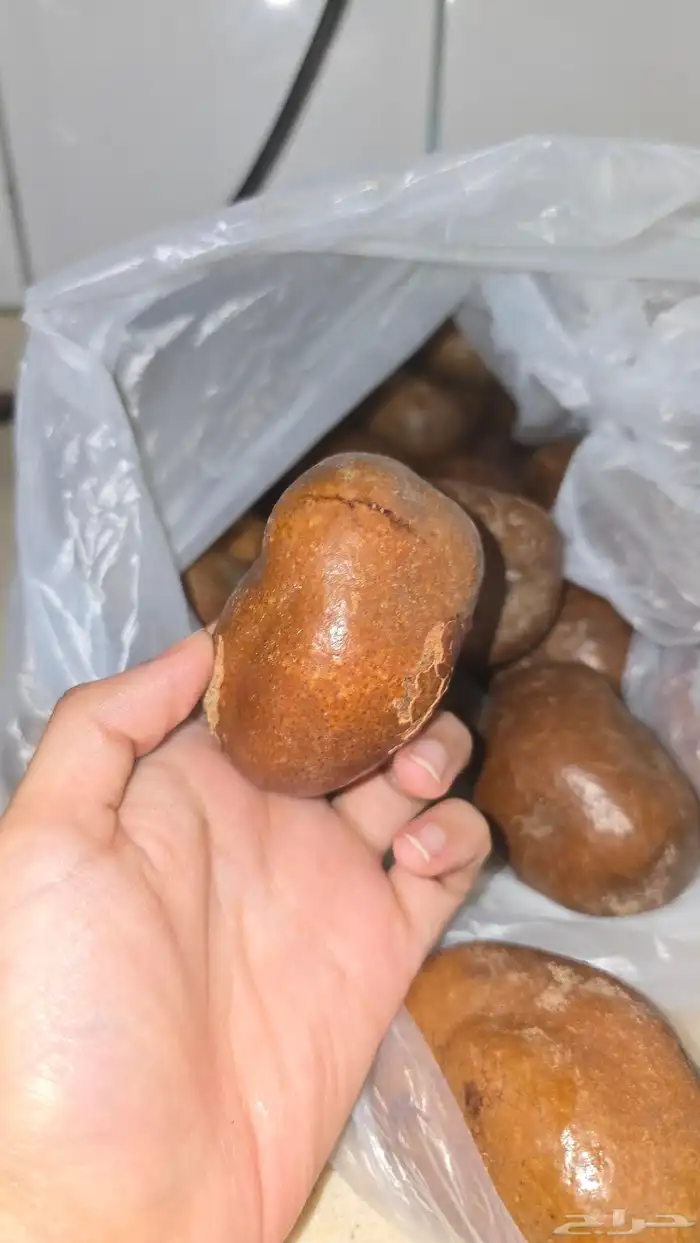 للبيع دوم بالكيلو 1