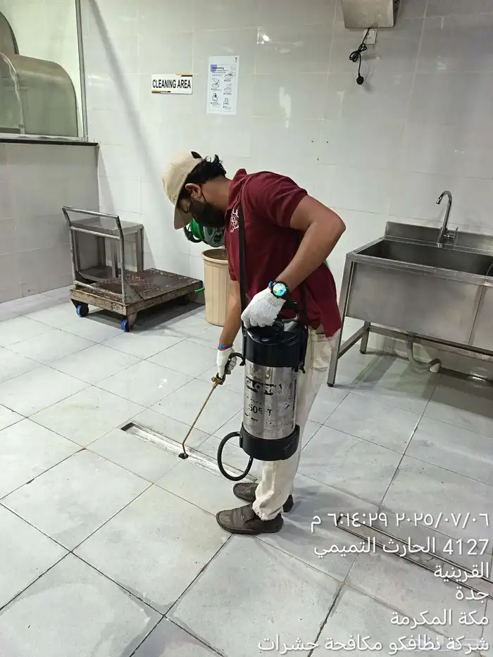 شركة مكافحة حشرات رش صراصير بق كتان فئران نمل رش مبيدات حش 0