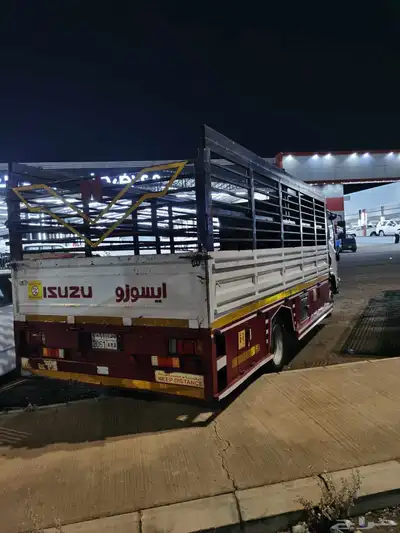 دينه سيزو الموديل 2020 5