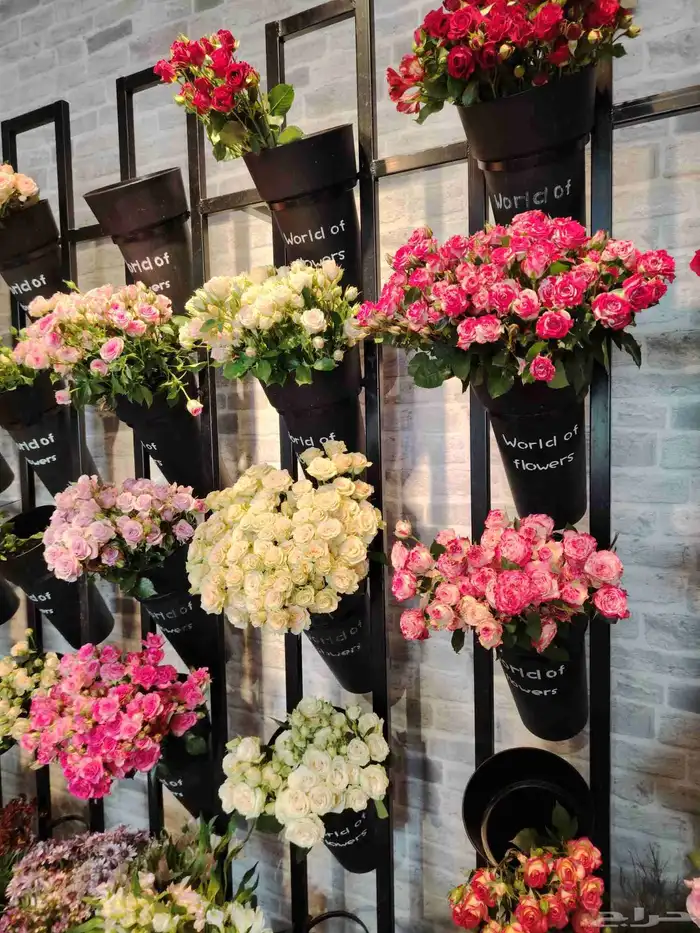 ورد هدايا  بوكيه  فازات_ورد  حي الموسى توصيل_طلبات  توصيل_ 6