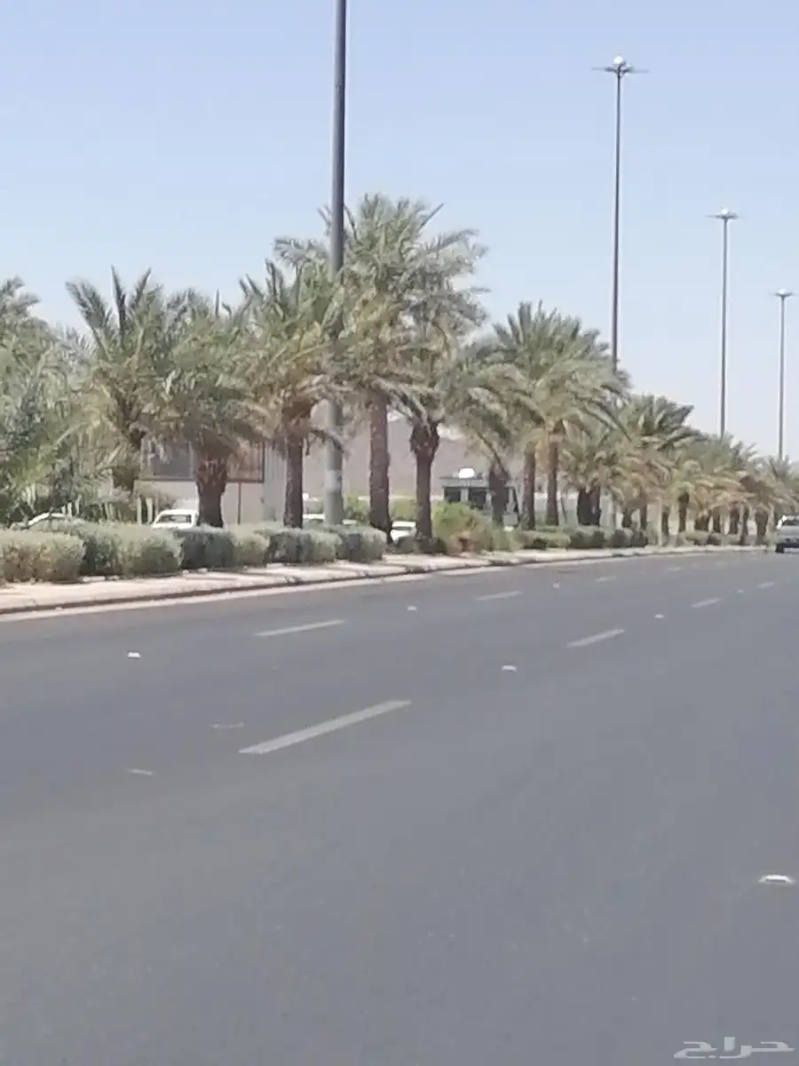 صيف مزرعة 0