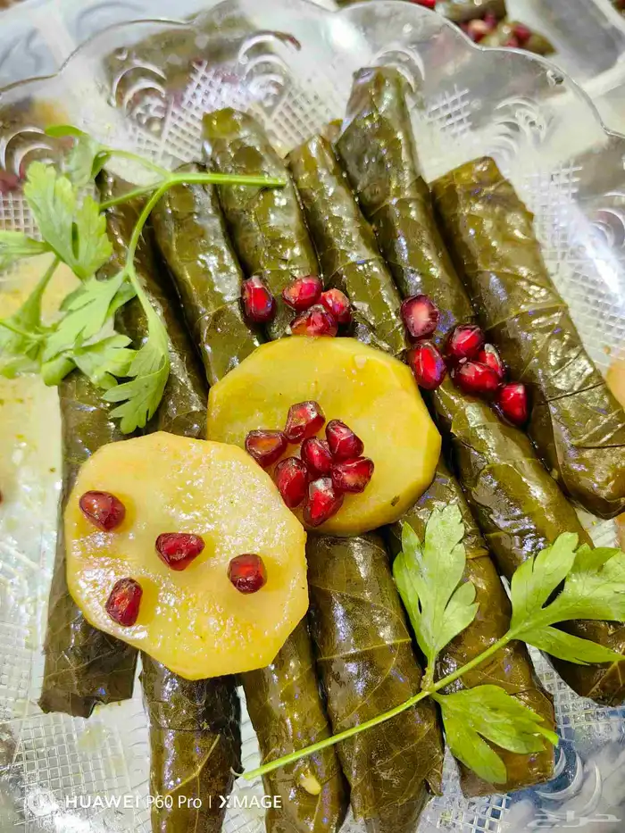 ورق عنب الأحساء 0