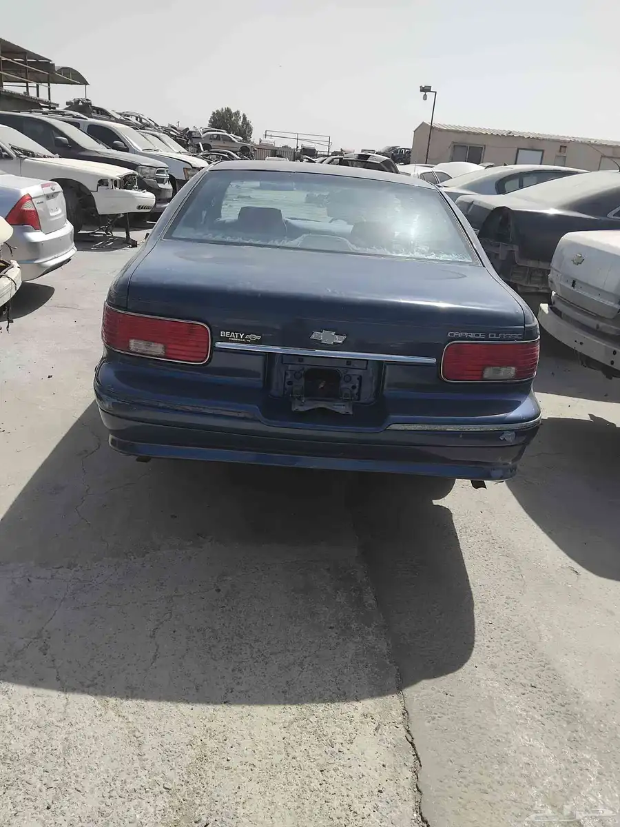 كابرس 1994 3