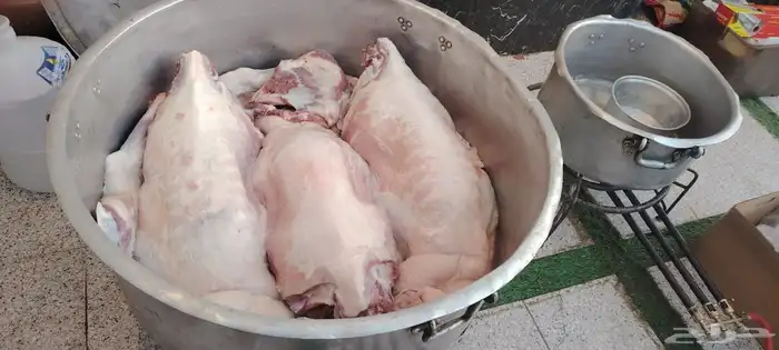 طباخ متنقل داخل وخارج الرياض جريش قرصان ايدمات قهوجي وصباب 6