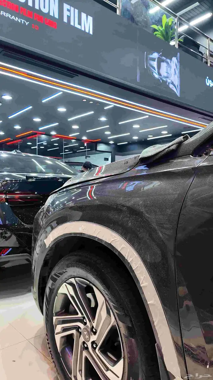 حماية السيارات 4