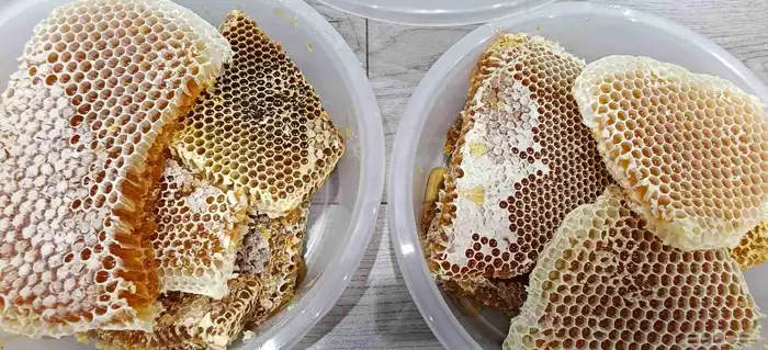 عسل طلح وعسل سمرة 0