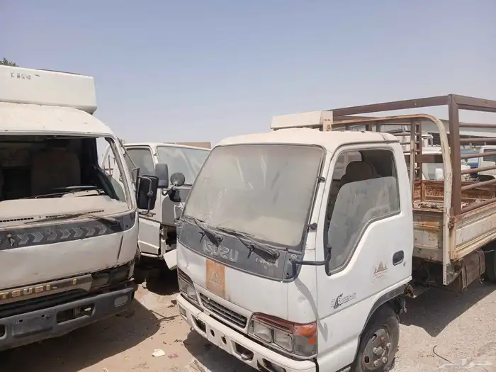 دينات ايسوز 0