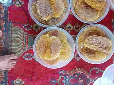 عسل طلح قص جديد 6