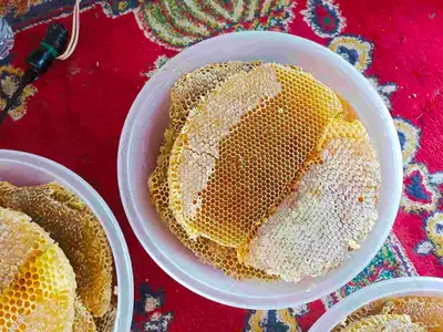 عسل طلح قص جديد 4