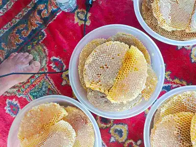 عسل طلح قص جديد 5