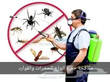 شركه مكافحه حشرات بالرياض رش مبيدات 3