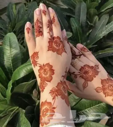 نقاشات للتربه خرمه 5
