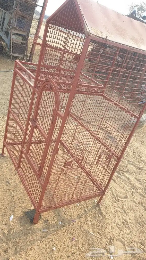 شبك ببغاء 0