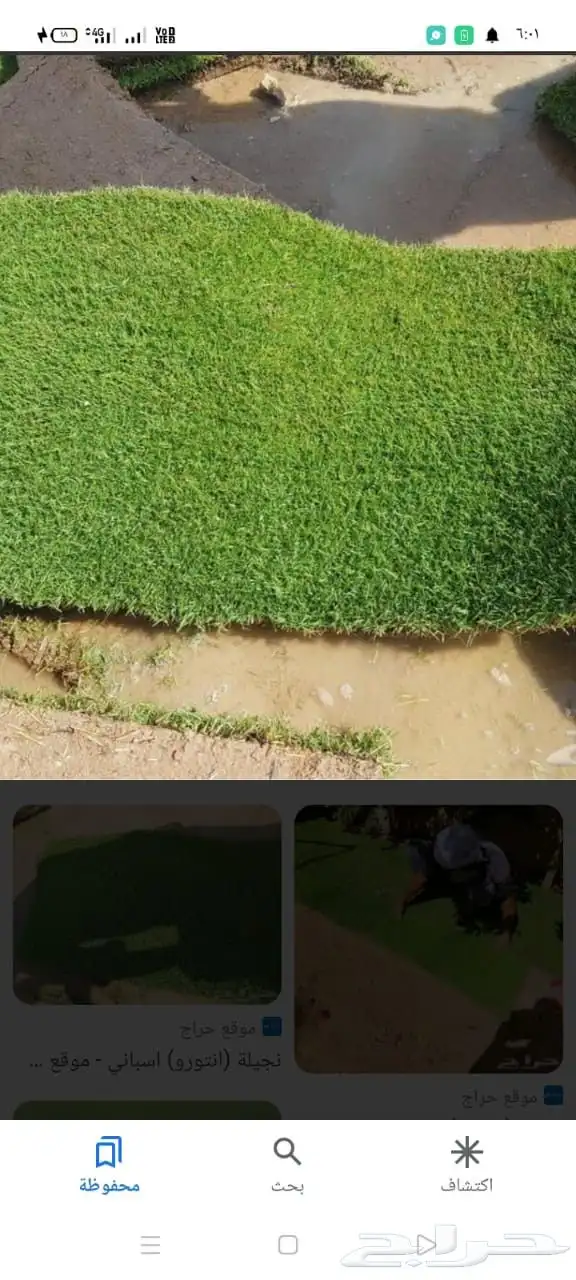 ثيل طبيعي 1