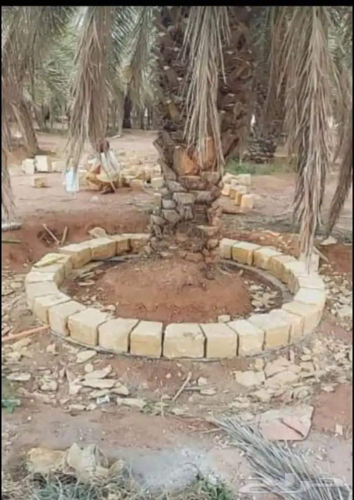 نقوم بتنفيذ جلسات العريش وتركيب الحجر الطبيعي شكل جبلي 5