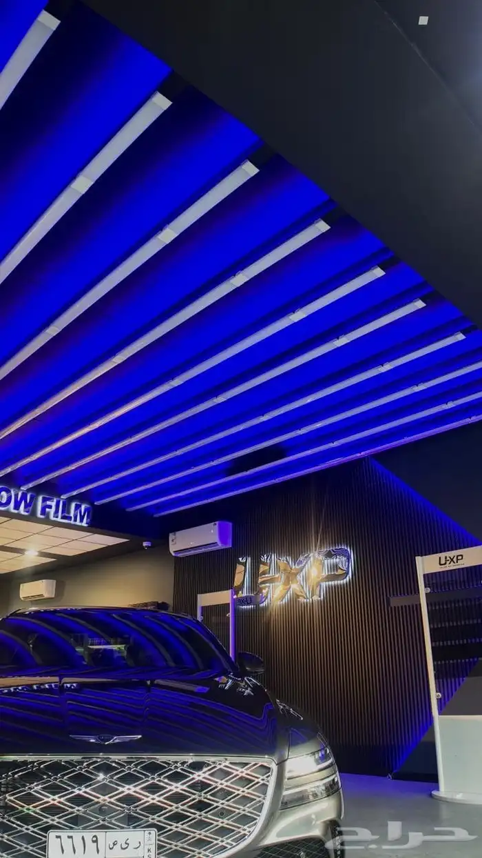 حماية السيارات 6