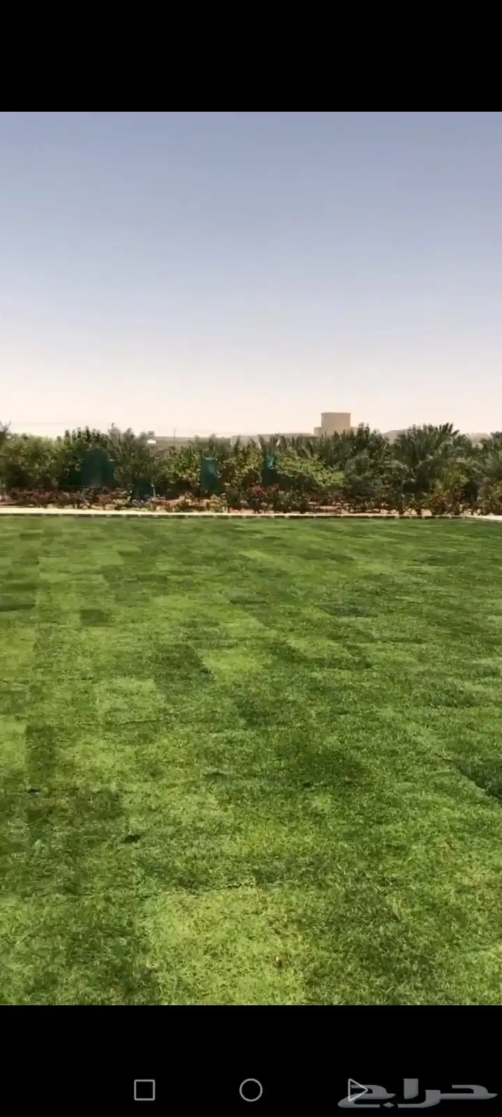 يوجد ثيل طبيعي وجميع الاشجار والشتلات والزهور والنخيل . متخ 0