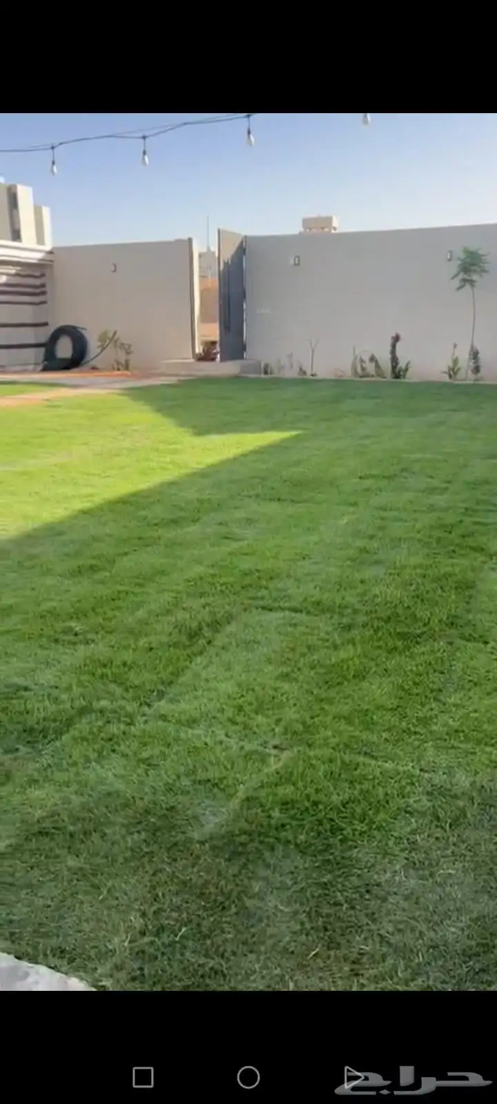 يوجد ثيل طبيعي وجميع الاشجار والشتلات والزهور والنخيل . متخ 1