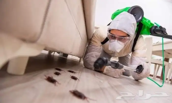 شركه مكافحه حشرات بالرياض رش مبيدات 5