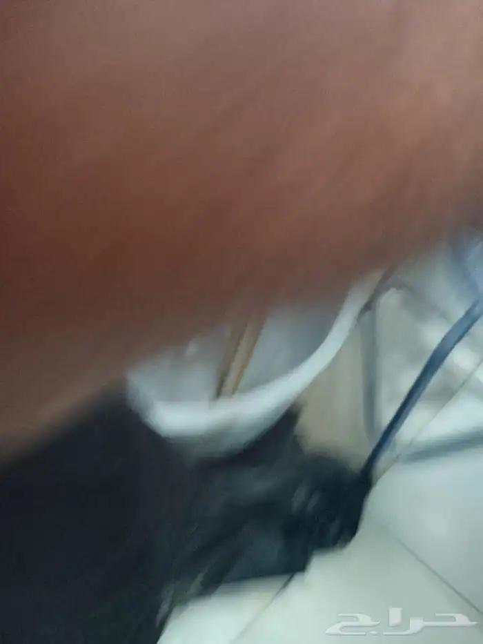 ادوات مطعم 1