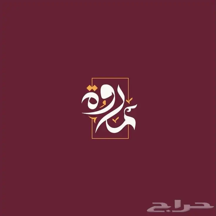 مصمم محترف 6