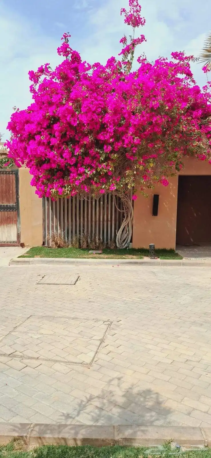 مشتل زراعي 6