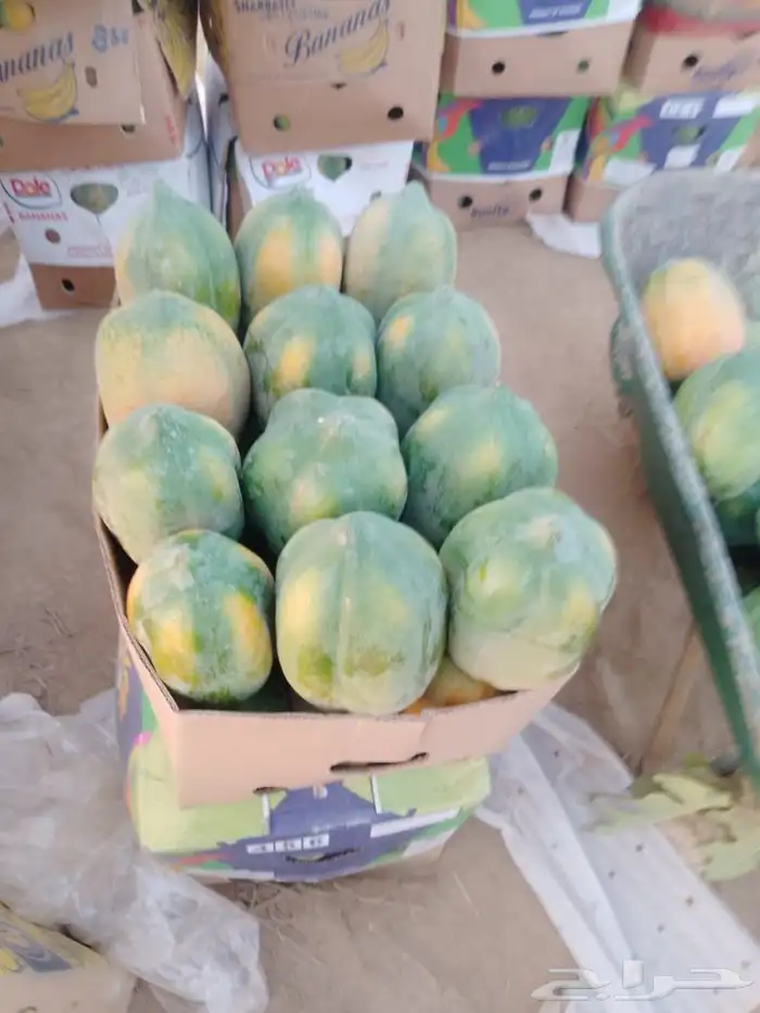 بابايا للبيع بالكرتون 2