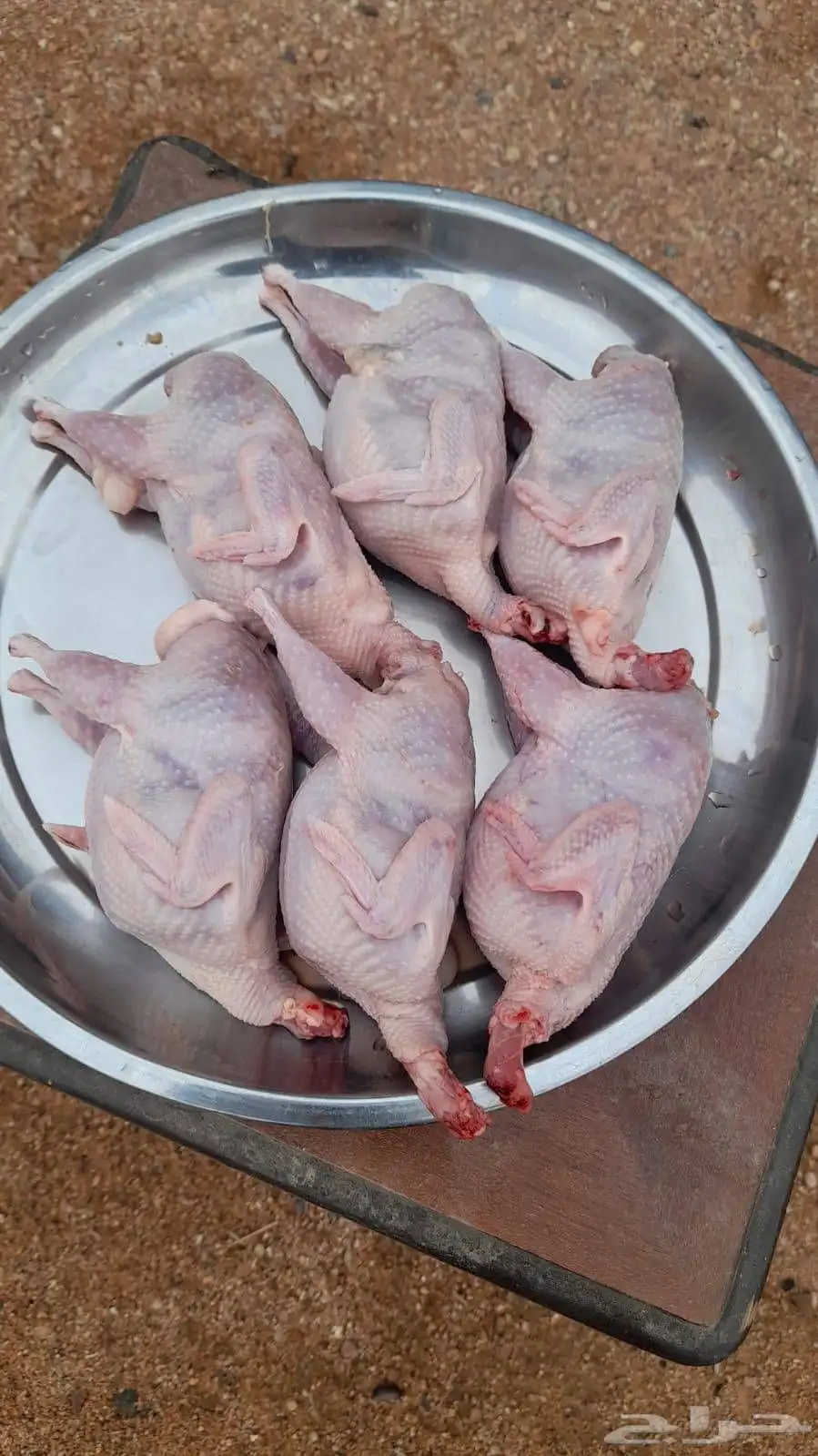 سمان سوبر شامبو 1